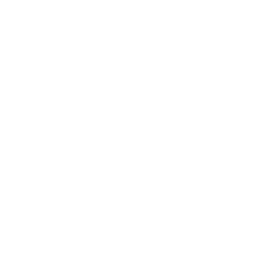 EVA-Fußmatten-Set für Citroen DS4 2011--2015 - Umriss
