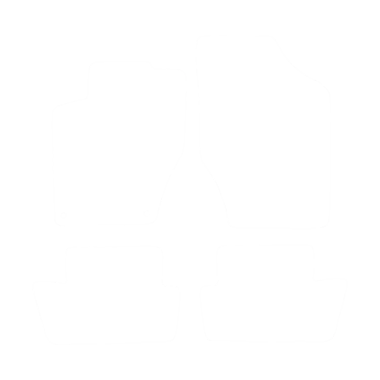 EVA-Fußmatten-Set für Citroen DS4 2011--2015 - Umriss