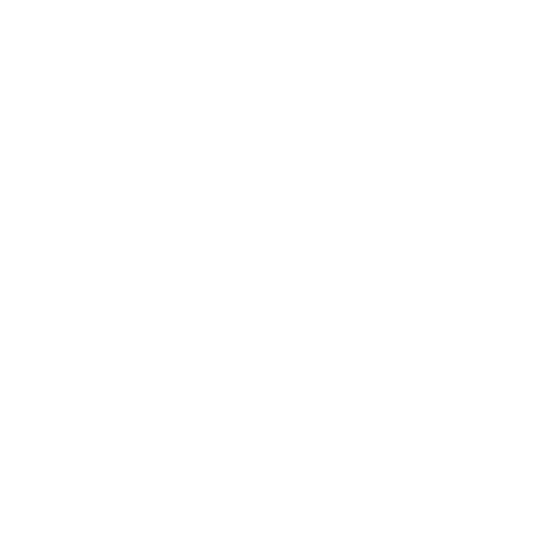 EVA-Fußmatten-Set für Fiat Scudo II (2/3 Sitze) 2006-2016 - Umriss