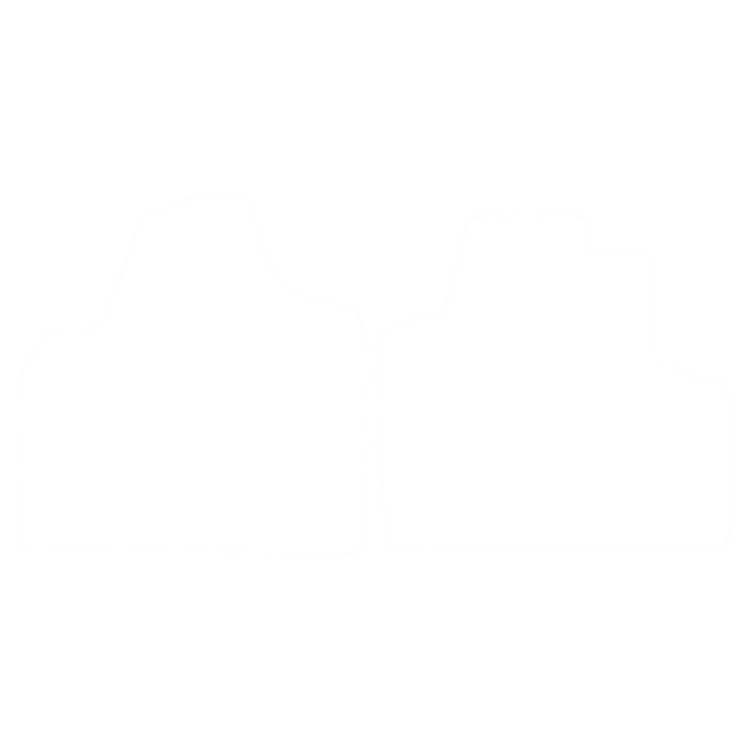 EVA-Fußmatten-Set für Fiat Scudo II (2/3 Sitze) 2006-2016 - Umriss