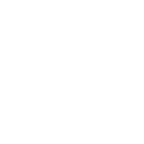 EVA-Fußmatten-Set für Ford Mondeo MK5 2015-2022 - Umriss