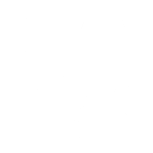 EVA-Fußmatten-Set für Ford B-max 2012-2017 - Umriss