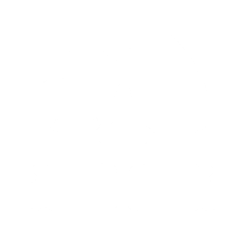 EVA-Fußmatten-Set für Ford S-max I (5 Sitze) 2006-2010 - Umriss