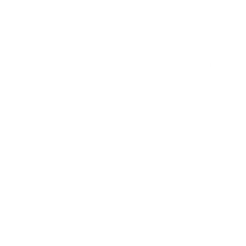 EVA-Fußmatten-Set für Ford Focus MK1 1996-2000 - Umriss
