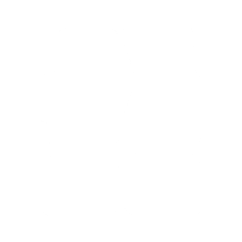 EVA-Fußmatten-Set für Honda CR-V I 1995-2001 - Umriss