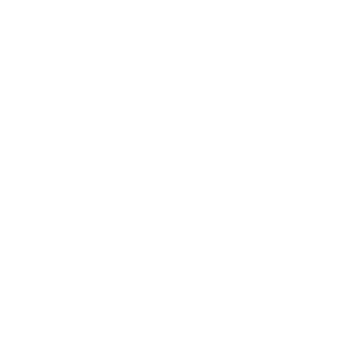 EVA-Fußmatten-Set für Lexus IS II 220-250 2005-2013 - Umriss
