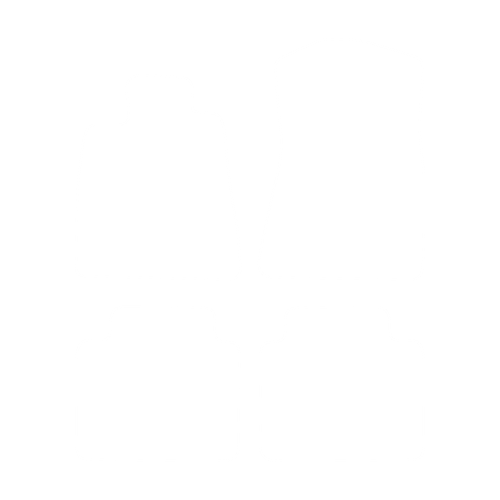 EVA-Fußmatten-Set für Lexus GS 300 2005-2013 - Umriss