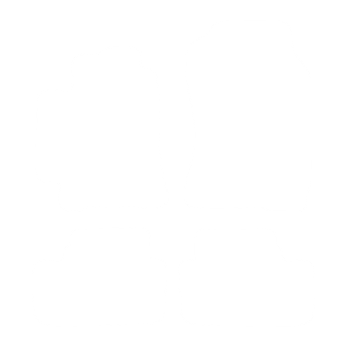 EVA-Fußmatten-Set für Lexus IS I 200 1998-2005 - Umriss