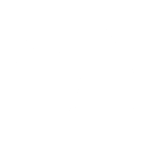 EVA-Fußmatten-Set für Citroen Berlingo II (2 Sitze) 2008-2018 - Umriss