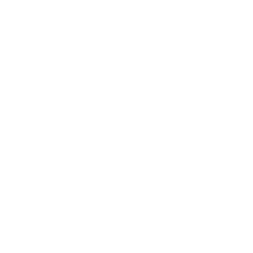 EVA-Fußmatten-Set für Mercedes CL-Klasse W216 2006-2014 - Umriss