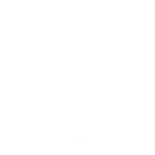 EVA-Fußmatten-Set für Mercedes E-Klasse W210 1995-2002 - Umriss