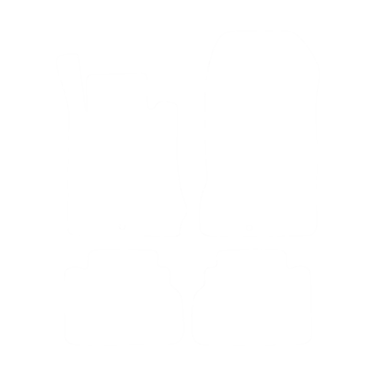 EVA-Fußmatten-Set für Mercedes E-Klasse W210 1995-2002 - Umriss