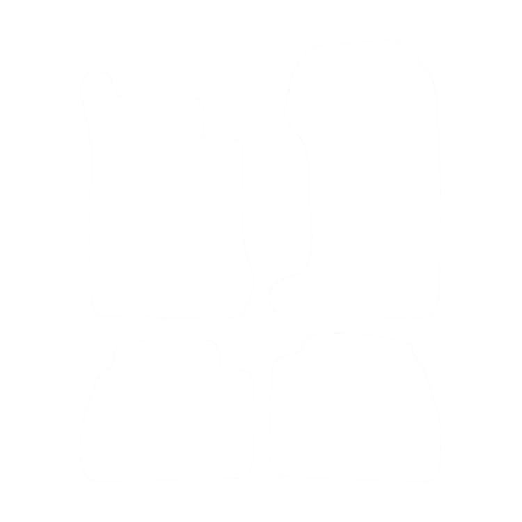 EVA-Fußmatten-Set für Mercedes E-Klasse W210 4-matic 1995-2002 - Umriss