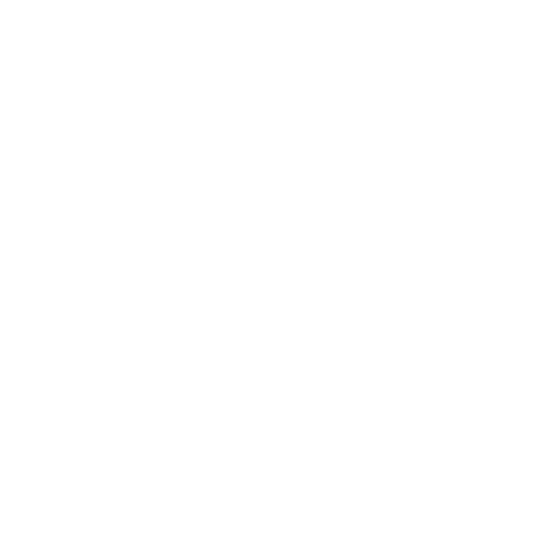 EVA-Fußmatten-Set für Mercedes R-Klasse V251 (5 Sitze) 2005-2013 - Umriss