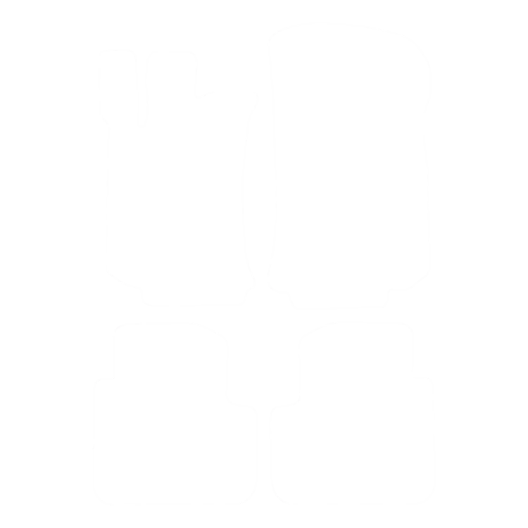 EVA-Fußmatten-Set für Mercedes R-Klasse V251 (5 Sitze) 2005-2013 - Umriss