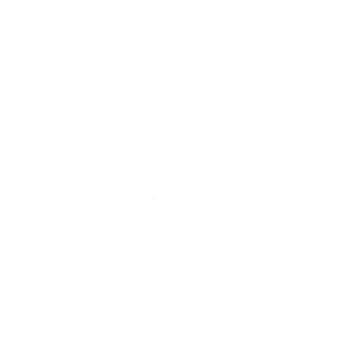 EVA-Fußmatten-Set für Nissan Qashqai II 2013-2021 - Umriss