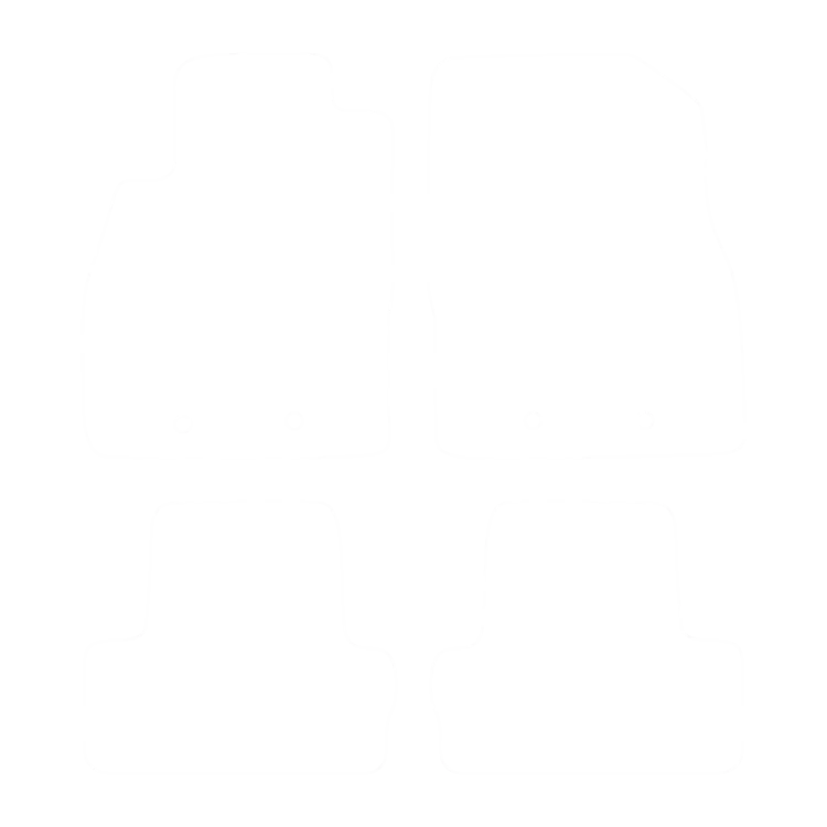 EVA-Fußmatten-Set für Opel Ampera 2012-2014 - Umriss