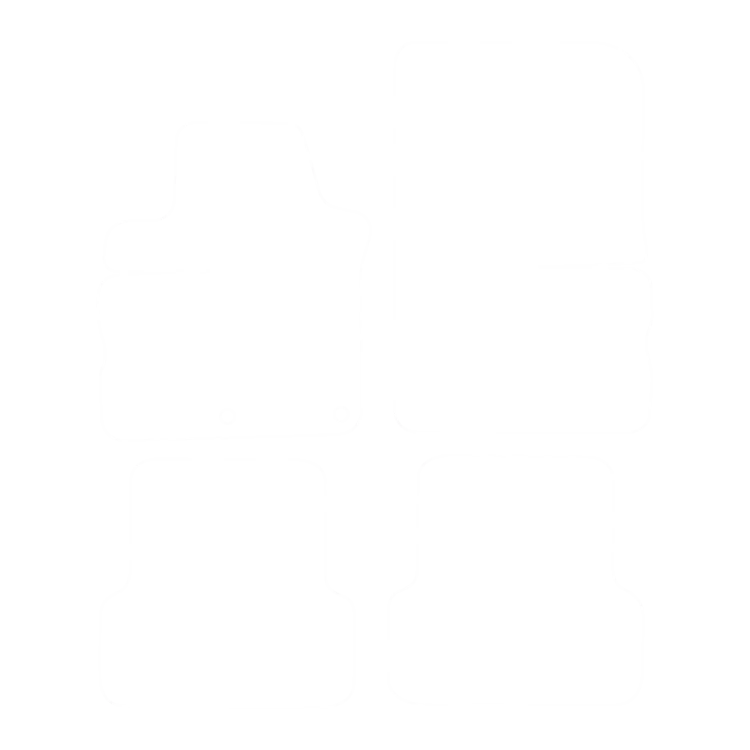 EVA-Fußmatten-Set für Renault Modus 2004-2012 - Umriss