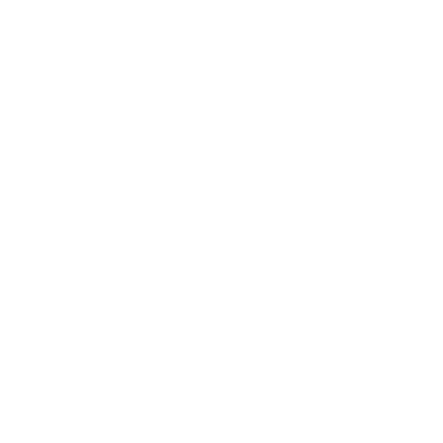 EVA-Fußmatten-Set für Renault Megane II CC 2004-2008 - Umriss
