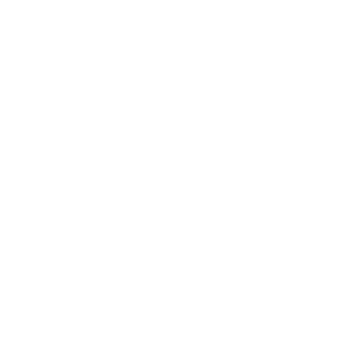 EVA-Fußmatten-Set für Renault Scenic II 2003-2009 - Umriss