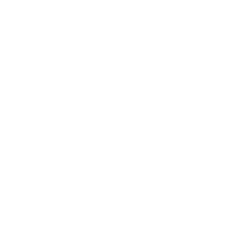 EVA-Fußmatten-Set für Renault Laguna II 2001-2007 - Umriss