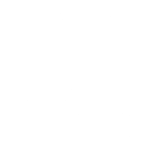 EVA-Fußmatten-Set für Renault Laguna I Facelift 1998-2001 - Umriss