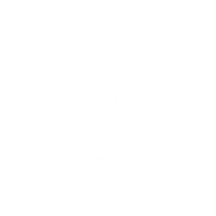 EVA-Fußmatten-Set für Renault Scenic I 1996-2003 - Umriss