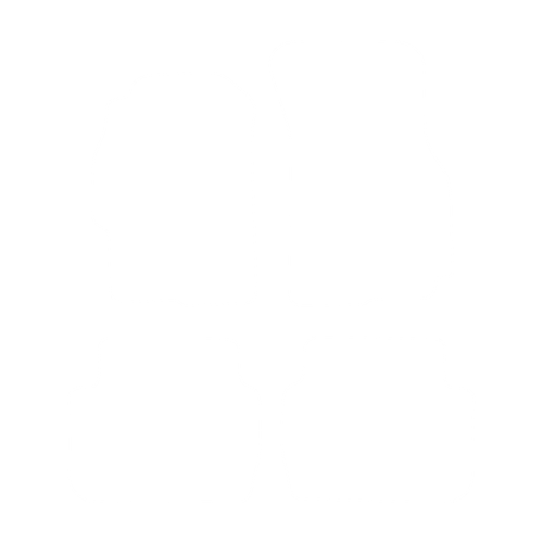 EVA-Fußmatten-Set für Rover 45 2000-2005 - Umriss
