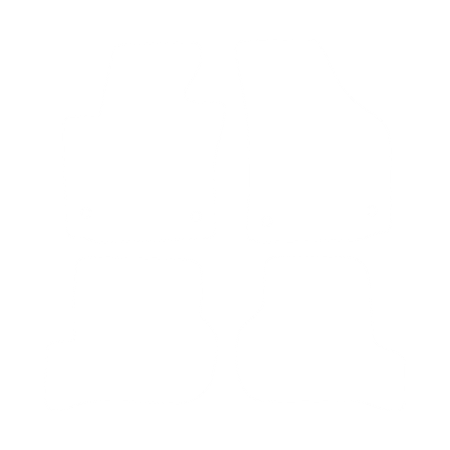 EVA-Fußmatten-Set für Seat Leon II 2005-2012 - Umriss