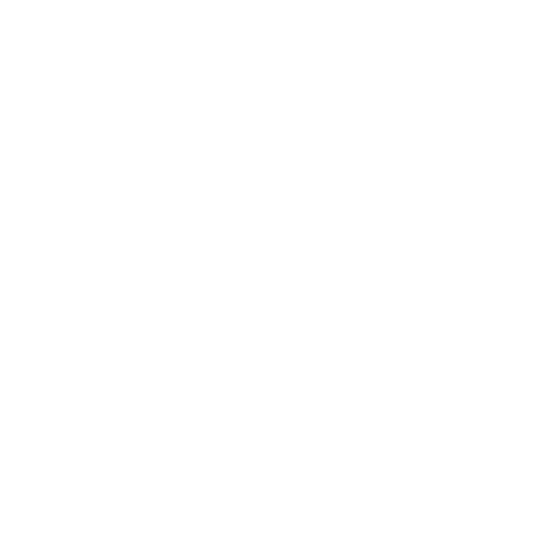 EVA-Fußmatten-Set für Skoda Superb II 2008-2015 - Umriss