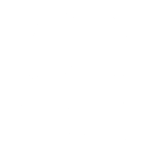 EVA-Fußmatten-Set für Skoda Roomster 2006-2015 - Umriss