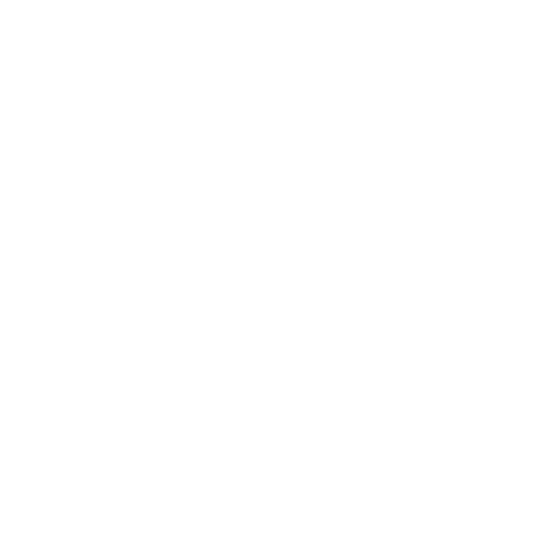 EVA-Fußmatten-Set für Suzuki Ignis 2003-2011- - Umriss