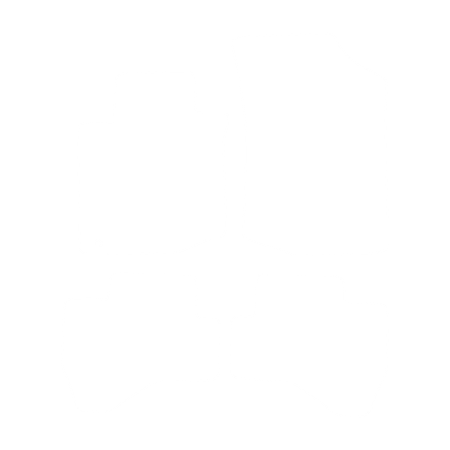 EVA-Fußmatten-Set für Toyota Aygo I 2005-2014 - Umriss