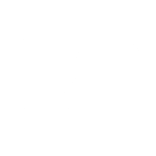 EVA-Fußmatten-Set für Volkswagen Passat V B9 2023- - Umriss