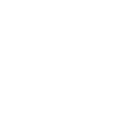 EVA-Fußmatten-Set für Volkswagen Jetta V 2005-2011- - Umriss