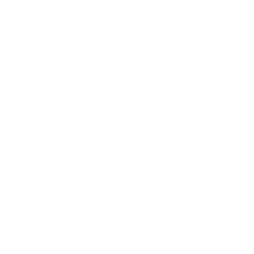 EVA-Fußmatten-Set für Volkswagen Lupo 1998-2005 - Umriss