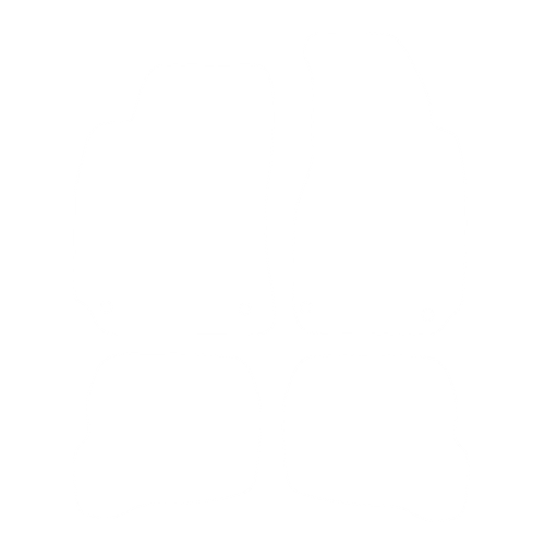 EVA-Fußmatten-Set für Volkswagen Passat B5 1996-2000 - Umriss