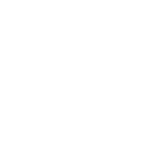 EVA-Fußmatten vorne für Citroen C4 I 2004-2010 - Umriss