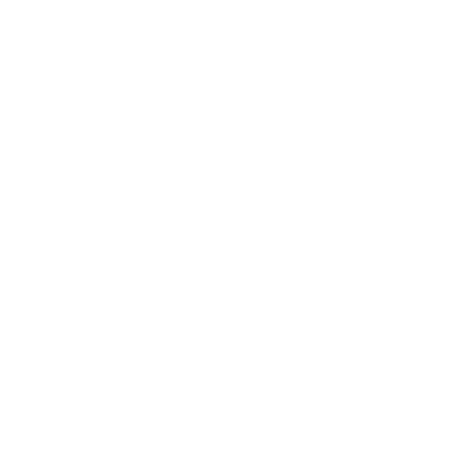 EVA-Fahrermatte für BMW 1er F20 5d X-Drive 2012-2019 - Umriss