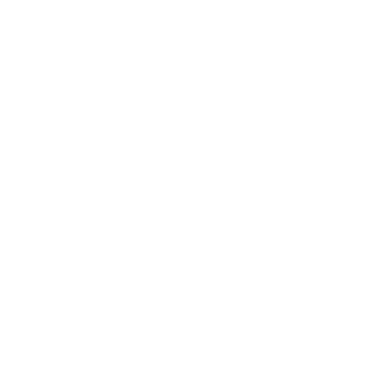 EVA-Fußmatten-Set für BMW X3 G45 2024- - Umriss