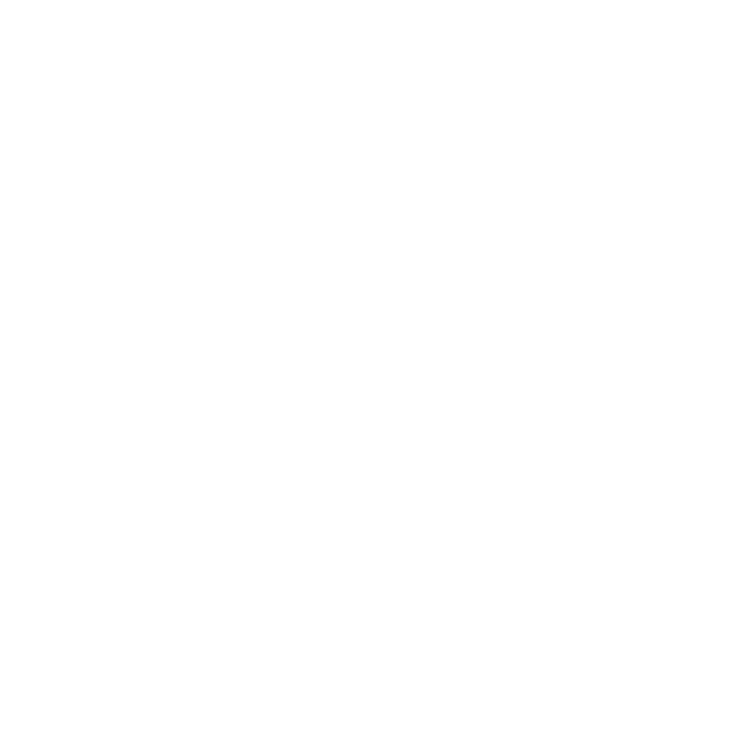 EVA-Fahrermatte für Subaru Levorg 2014-2020 - Umriss