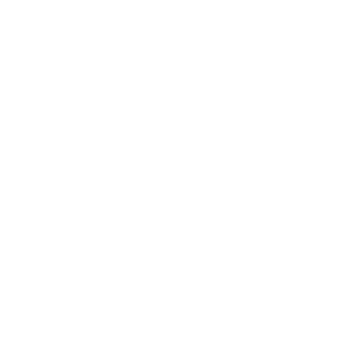 EVA-Fußmatten-Set für Subaru Levorg 2014-2020 - Umriss