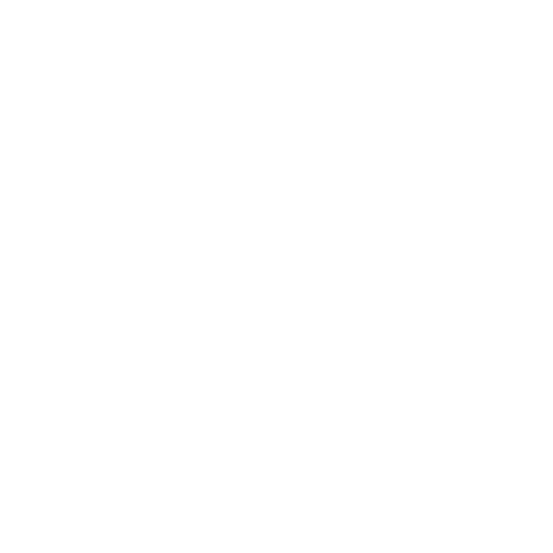 EVA-Fußmatten-Set für Toyota Prius III FL 2012-2015 - Umriss