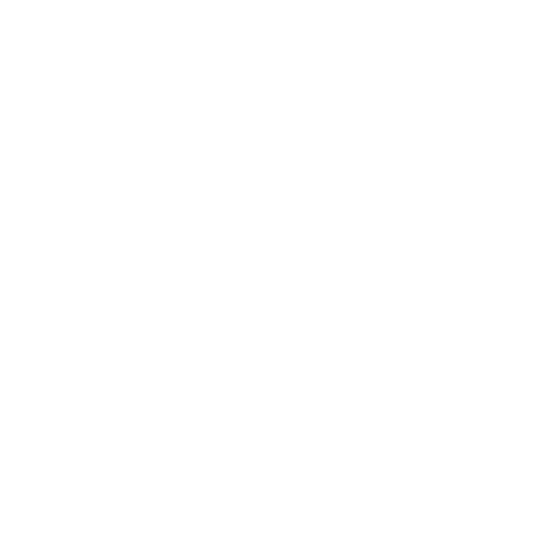 EVA-Fußmatten vorne für Audi TT II 8J Cabrio 2006-2014 - Umriss