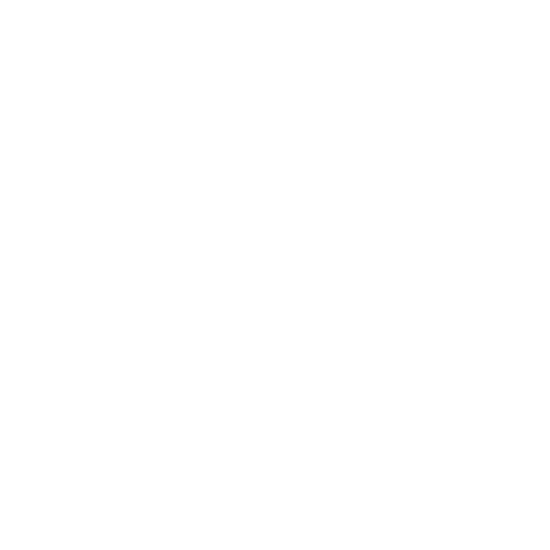 EVA-Fußmatten-Set für Audi S6 C6 Avant 2006-2010 - Umriss