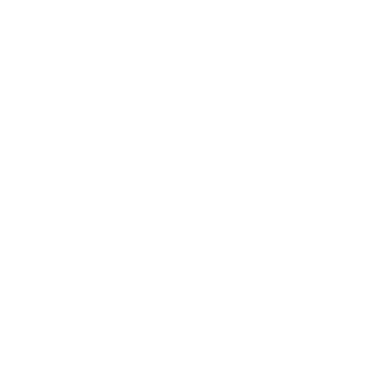 EVA-Fahrermatte für Audi RS4 B5 1999-2001 - Umriss