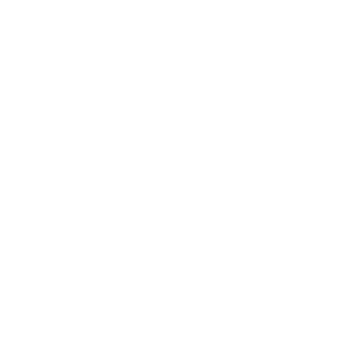 EVA-Fahrermatte für Audi A6 II C5 1997-2002 - Umriss