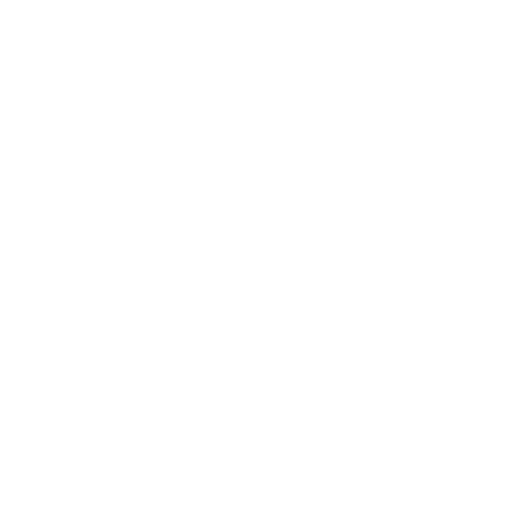 EVA-Fußmatten-Set für Audi A6 II C5 1997-2002 - Umriss