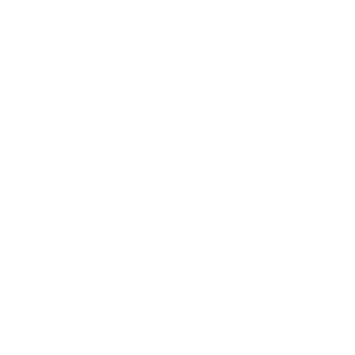 EVA-Fußmatten-Set für Mini Cooper Cabrio F57 2016-2024 - Umriss