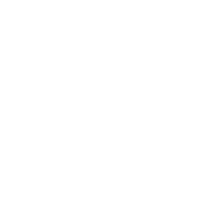 EVA-Fußmatten-Set für Mini Cooper Cabrio F57 2016-2024 - Umriss